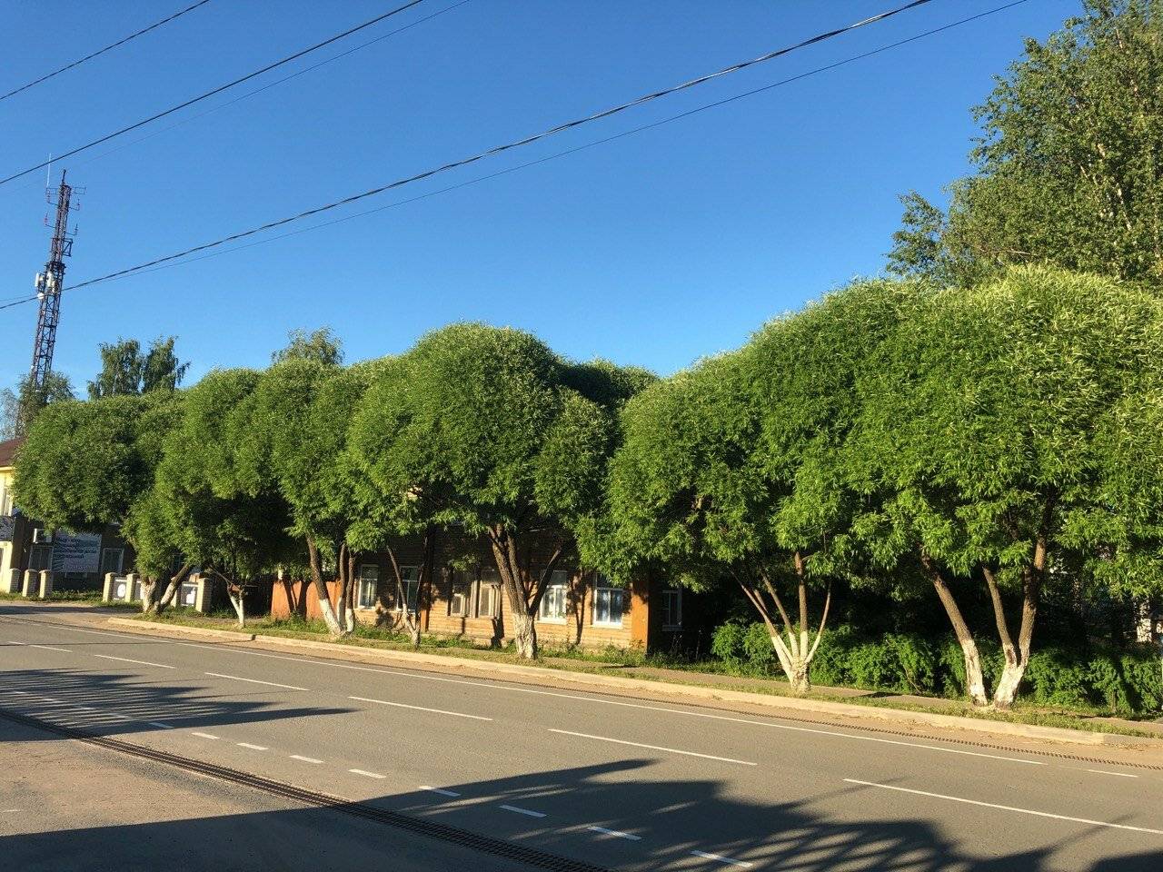 Фото Гостиницы Юрьево Подворье Вельск 142