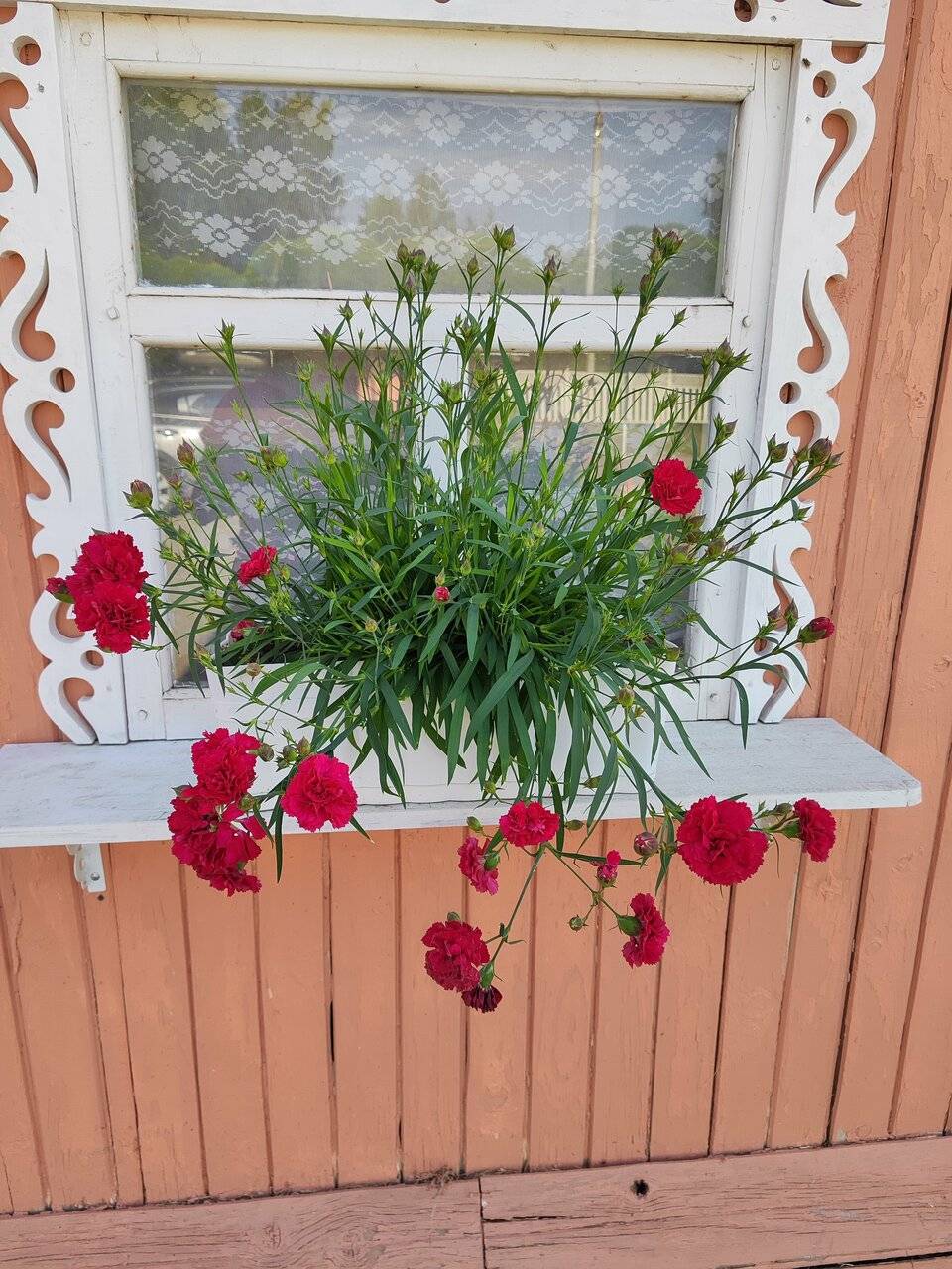 Фото Гостиницы Юрьево Подворье Вельск 148